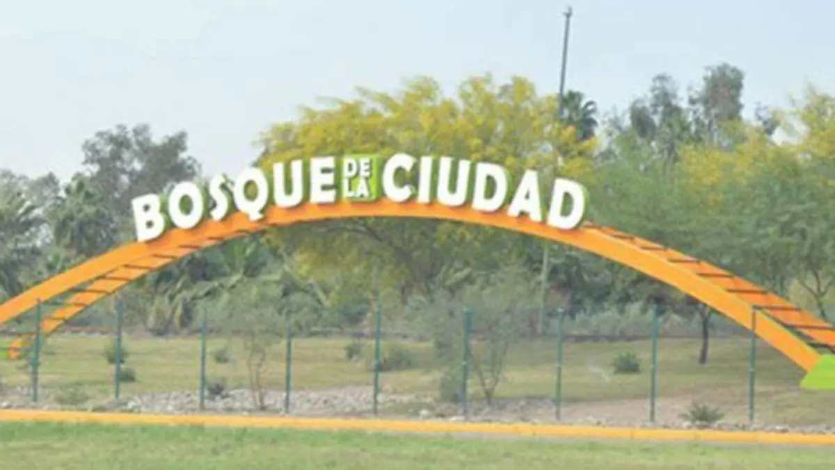 bosque de la ciudad